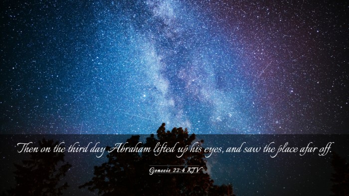 Picture 03 - Genesis 22:4 KJV Desktop Wallpaper - Then on the third day Abraham lifted up his eyes, - Desktop Bible Verse Wallpaper