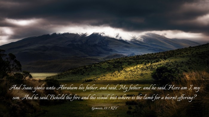 Picture 03 - Genesis 22:7 KJV Desktop Wallpaper - And Isaac spake unto Abraham his father, and - Desktop Bible Verse Wallpaper