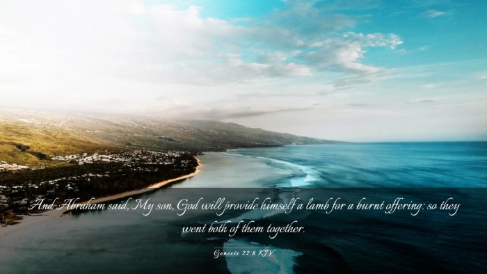 Picture 03 - Genesis 22:8 KJV Desktop Wallpaper - And Abraham said, My son, God will provide - Desktop Bible Verse Wallpaper