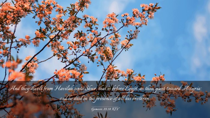 Picture 03 - Genesis 25:18 KJV Desktop Wallpaper - And they dwelt from Havilah unto Shur, that is - Desktop Bible Verse Wallpaper