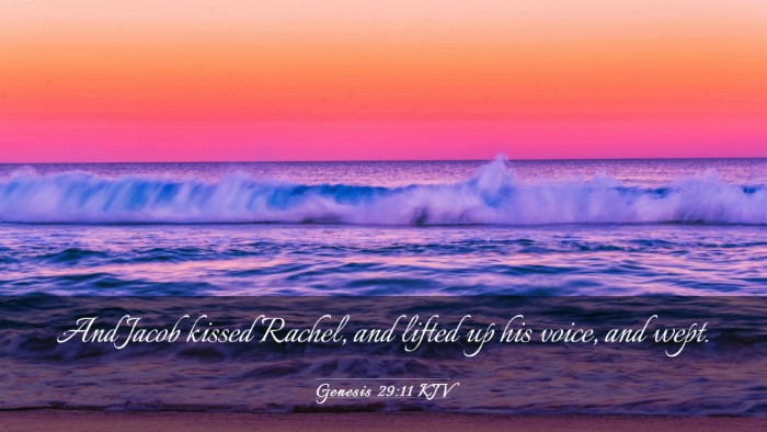 Picture 03 - Genesis 29:11 KJV Desktop Wallpaper - And Jacob kissed Rachel, and lifted up his voice, - Desktop Bible Verse Wallpaper