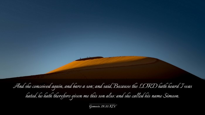 Picture 03 - Genesis 29:33 KJV Desktop Wallpaper - And she conceived again, and bare a son; and - Desktop Bible Verse Wallpaper