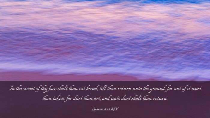 Picture 03 - Genesis 3:19 KJV Desktop Wallpaper - In the sweat of thy face shalt thou eat bread, - Desktop Bible Verse Wallpaper