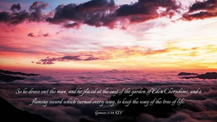 Picture 03 - Genesis 3:24 KJV Desktop Wallpaper - So he drove out the man; and he placed at the - Desktop Bible Verse Wallpaper