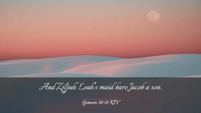 Picture 03 - Genesis 30:10 KJV Desktop Wallpaper - And Zilpah Leah's maid bare Jacob a - Desktop Bible Verse Wallpaper