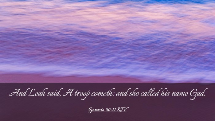 Picture 03 - Genesis 30:11 KJV Desktop Wallpaper - And Leah said, A troop cometh: and she called his - Desktop Bible Verse Wallpaper