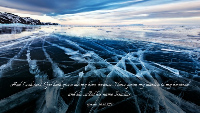 Picture 03 - Genesis 30:18 KJV Desktop Wallpaper - And Leah said, God hath given me my hire, because - Desktop Bible Verse Wallpaper