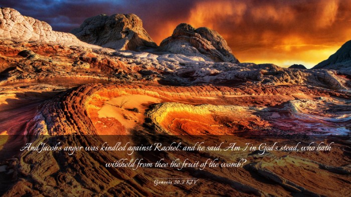 Picture 03 - Genesis 30:2 KJV Desktop Wallpaper - And Jacob's anger was kindled against Rachel: and - Desktop Bible Verse Wallpaper