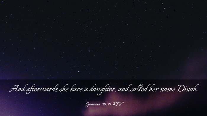 Picture 03 - Genesis 30:21 KJV Desktop Wallpaper - And afterwards she bare a daughter, and called - Desktop Bible Verse Wallpaper