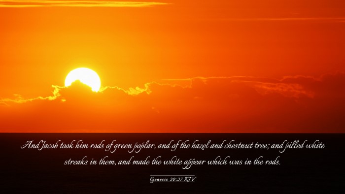 Picture 03 - Genesis 30:37 KJV Desktop Wallpaper - And Jacob took him rods of green poplar, and of - Desktop Bible Verse Wallpaper