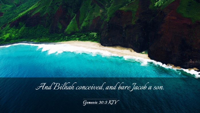 Picture 03 - Genesis 30:5 KJV Desktop Wallpaper - And Bilhah conceived, and bare Jacob a - Desktop Bible Verse Wallpaper