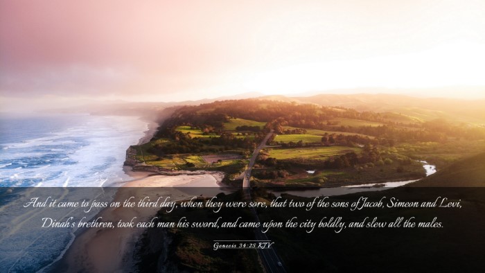 Picture 03 - Genesis 34:25 KJV Desktop Wallpaper - And it came to pass on the third day, when they - Desktop Bible Verse Wallpaper