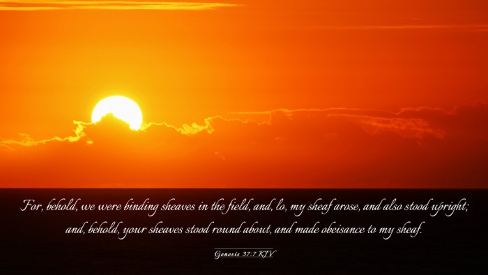 Picture 03 - Genesis 37:7 KJV Desktop Wallpaper - For, behold, we were binding sheaves in the - Desktop Bible Verse Wallpaper