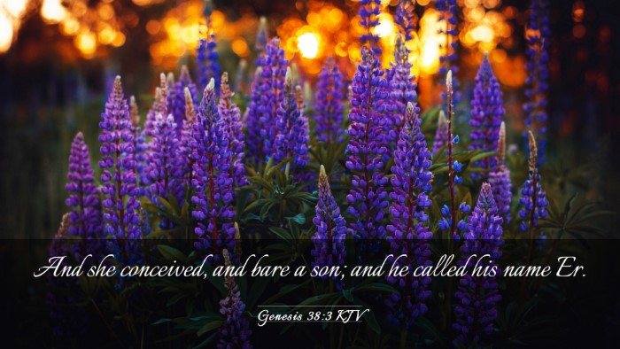Picture 03 - Genesis 38:3 KJV Desktop Wallpaper - And she conceived, and bare a son; and he called - Desktop Bible Verse Wallpaper