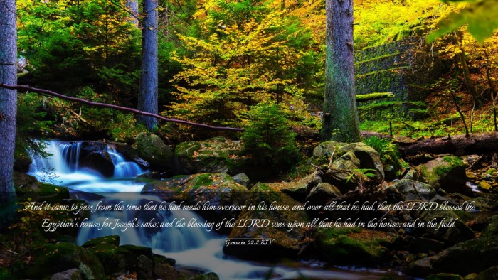 Picture 03 - Genesis 39:5 KJV Desktop Wallpaper - And it came to pass from the time that he had - Desktop Bible Verse Wallpaper