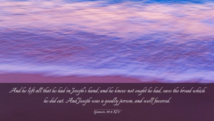 Picture 03 - Genesis 39:6 KJV Desktop Wallpaper - And he left all that he had in Joseph's hand; and - Desktop Bible Verse Wallpaper