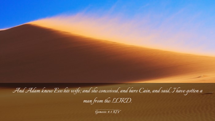 Picture 03 - Genesis 4:1 KJV Desktop Wallpaper - And Adam knew Eve his wife; and she conceived, - Desktop Bible Verse Wallpaper