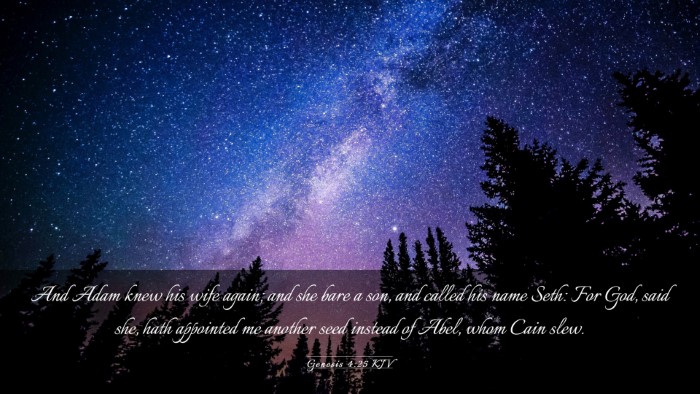 Picture 03 - Genesis 4:25 KJV Desktop Wallpaper - And Adam knew his wife again; and she bare a son, - Desktop Bible Verse Wallpaper