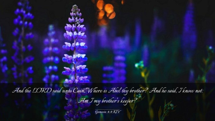 Picture 03 - Genesis 4:9 KJV Desktop Wallpaper - And the LORD said unto Cain, Where is Abel thy - Desktop Bible Verse Wallpaper