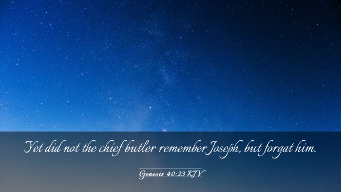 Picture 03 - Genesis 40:23 KJV Desktop Wallpaper - Yet did not the chief butler remember Joseph, but - Desktop Bible Verse Wallpaper