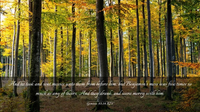 Picture 03 - Genesis 43:34 KJV Desktop Wallpaper - And he took and sent messes unto them from before - Desktop Bible Verse Wallpaper
