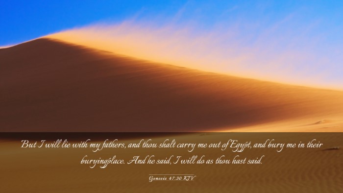 Picture 03 - Genesis 47:30 KJV Desktop Wallpaper - But I will lie with my fathers, and thou shalt - Desktop Bible Verse Wallpaper