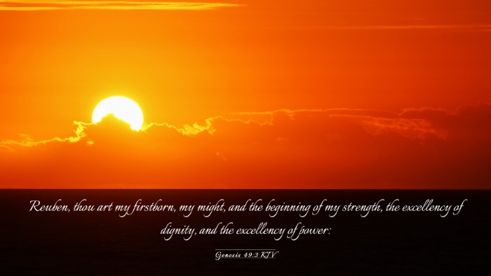 Picture 03 - Genesis 49:3 KJV Desktop Wallpaper - Reuben, thou art my firstborn, my might, and the - Desktop Bible Verse Wallpaper