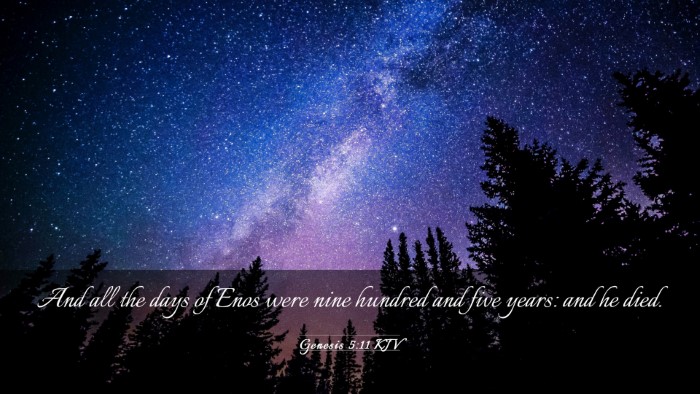 Picture 03 - Genesis 5:11 KJV Desktop Wallpaper - And all the days of Enos were nine hundred and - Desktop Bible Verse Wallpaper