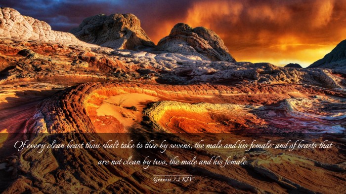 Picture 03 - Genesis 7:2 KJV Desktop Wallpaper - Of every clean beast thou shalt take to thee by - Desktop Bible Verse Wallpaper