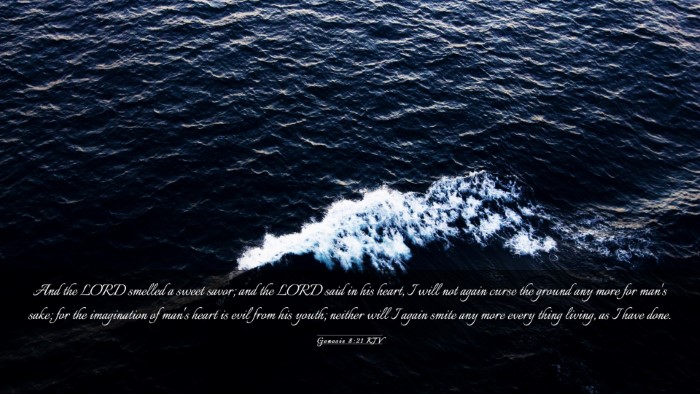 Picture 03 - Genesis 8:21 KJV Desktop Wallpaper - And the LORD smelled a sweet savor; and the LORD - Desktop Bible Verse Wallpaper