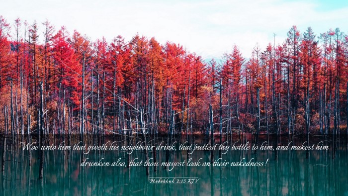 Picture 03 - Habakkuk 2:15 KJV Desktop Wallpaper - Woe unto him that giveth his neighbour drink, - Desktop Bible Verse Wallpaper
