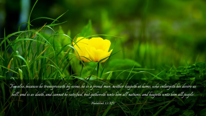 Picture 03 - Habakkuk 2:5 KJV Desktop Wallpaper - Yea also, because he transgresseth by wine, he is - Desktop Bible Verse Wallpaper
