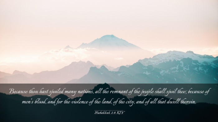 Picture 03 - Habakkuk 2:8 KJV Desktop Wallpaper - Because thou hast spoiled many nations, all the - Desktop Bible Verse Wallpaper