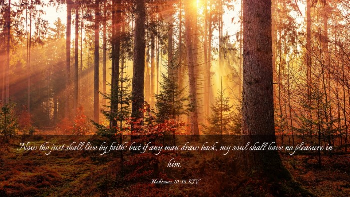 Picture 03 - Hebrews 10:38 KJV Desktop Wallpaper - Now the just shall live by faith: but if any man - Desktop Bible Verse Wallpaper