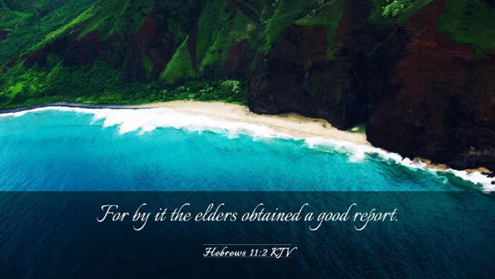 Picture 03 - Hebrews 11:2 KJV Desktop Wallpaper - For by it the elders obtained a good - Desktop Bible Verse Wallpaper