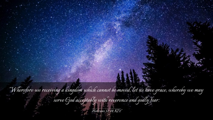 Picture 03 - Hebrews 12:28 KJV Desktop Wallpaper - Wherefore we receiving a kingdom which cannot be - Desktop Bible Verse Wallpaper