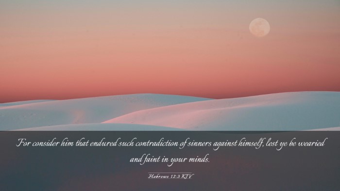 Picture 03 - Hebrews 12:3 KJV Desktop Wallpaper - For consider him that endured such contradiction - Desktop Bible Verse Wallpaper