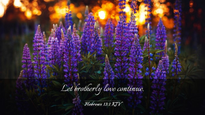 Picture 03 - Hebrews 13:1 KJV Desktop Wallpaper - Let brotherly love - Desktop Bible Verse Wallpaper