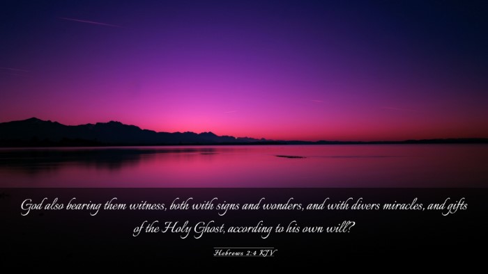 Picture 03 - Hebrews 2:4 KJV Desktop Wallpaper - God also bearing them witness, both with signs - Desktop Bible Verse Wallpaper