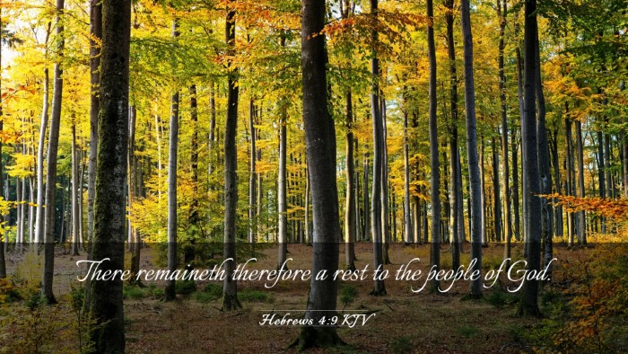 Picture 03 - Hebrews 4:9 KJV Desktop Wallpaper - There remaineth therefore a rest to the people of - Desktop Bible Verse Wallpaper