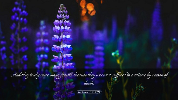 Picture 03 - Hebrews 7:23 KJV Desktop Wallpaper - And they truly were many priests, because they - Desktop Bible Verse Wallpaper