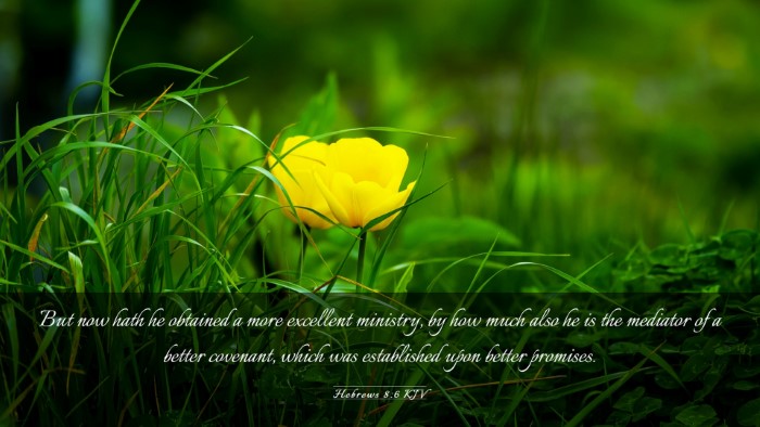 Picture 03 - Hebrews 8:6 KJV Desktop Wallpaper - But now hath he obtained a more excellent - Desktop Bible Verse Wallpaper