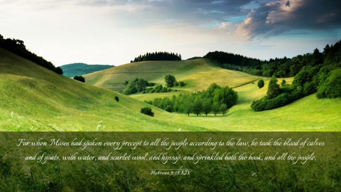 Picture 03 - Hebrews 9:19 KJV Desktop Wallpaper - For when Moses had spoken every precept to all - Desktop Bible Verse Wallpaper