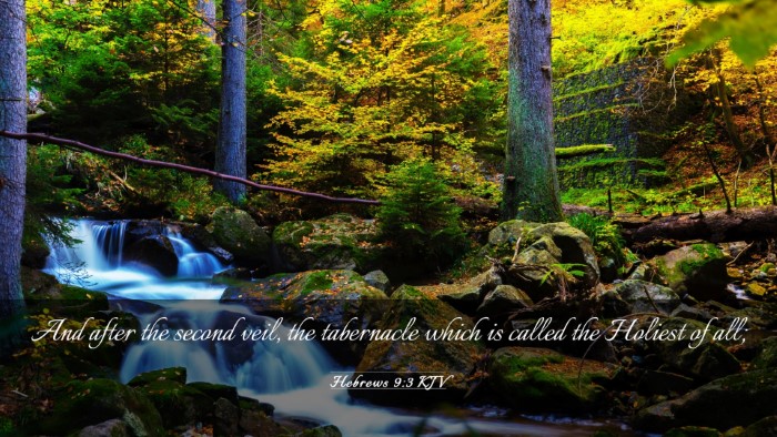 Picture 03 - Hebrews 9:3 KJV Desktop Wallpaper - And after the second veil, the tabernacle which - Desktop Bible Verse Wallpaper