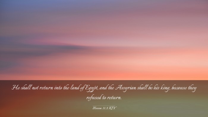 Picture 03 - Hosea 11:5 KJV Desktop Wallpaper - He shall not return into the land of Egypt, and - Desktop Bible Verse Wallpaper