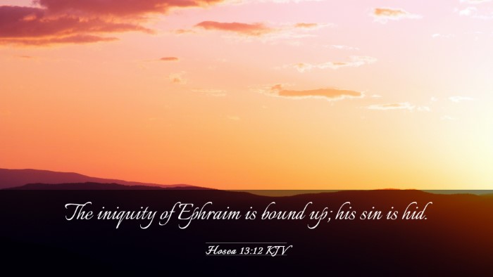 Picture 03 - Hosea 13:12 KJV Desktop Wallpaper - The iniquity of Ephraim is bound up; his sin is - Desktop Bible Verse Wallpaper