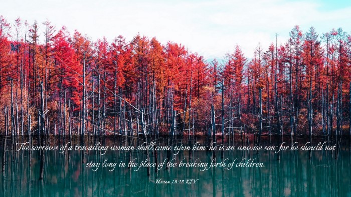 Picture 03 - Hosea 13:13 KJV Desktop Wallpaper - The sorrows of a travailing woman shall come upon - Desktop Bible Verse Wallpaper