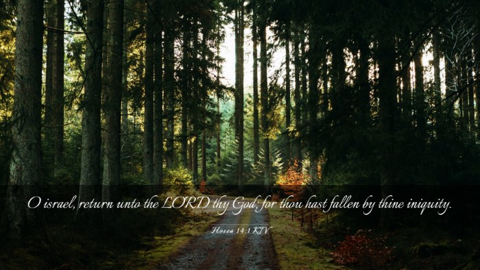 Picture 03 - Hosea 14:1 KJV Desktop Wallpaper - O israel, return unto the LORD thy God; for thou - Desktop Bible Verse Wallpaper