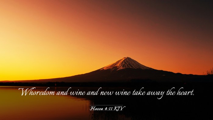 Picture 03 - Hosea 4:11 KJV Desktop Wallpaper - Whoredom and wine and new wine take away the - Desktop Bible Verse Wallpaper