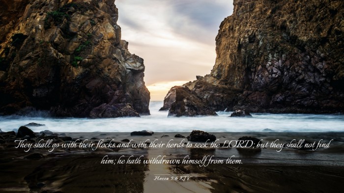Picture 03 - Hosea 5:6 KJV Desktop Wallpaper - They shall go with their flocks and with their - Desktop Bible Verse Wallpaper